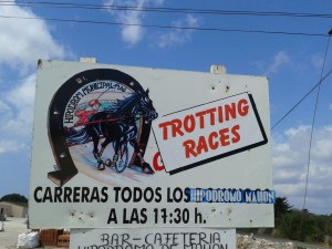 Horse Trotting Races